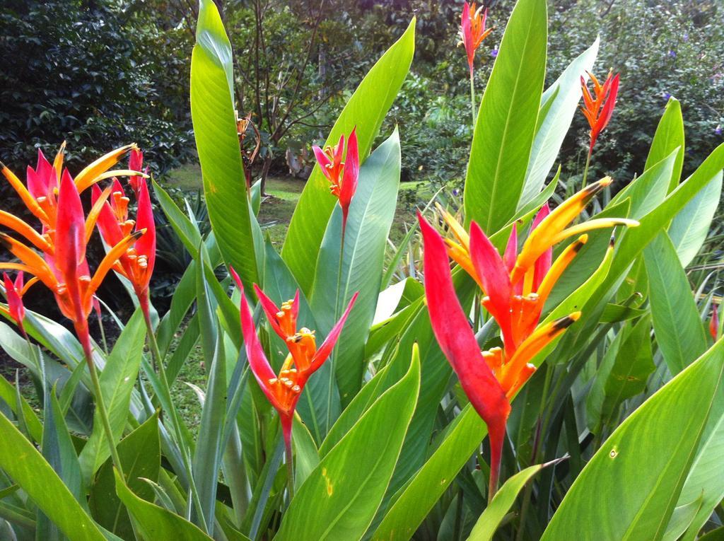 Salt Lake Lodge Savusavu Eksteriør billede