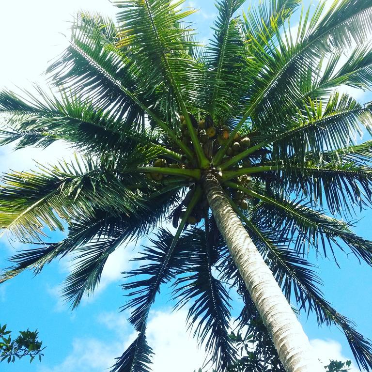 Salt Lake Lodge Savusavu Eksteriør billede