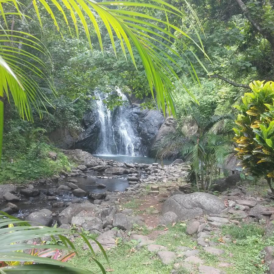 Salt Lake Lodge Savusavu Eksteriør billede